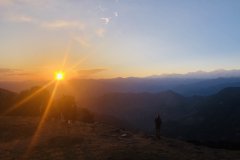 IMG_70781